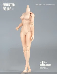 1/6 Female Body With White Skin and Large Chest, 12 "Action Figure Model - Picture 1 of 11