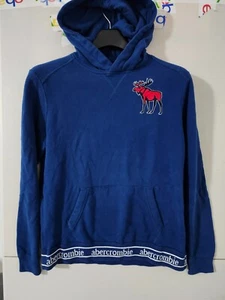 Abercrombie Fitch Sweatshirt Boys 15/16 Hoodie Pullover Embroider Moose Spellout - Picture 1 of 18