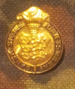 Abzeichen pin Danske skole dratsmarke Dänische Schule - Bild 1 von 1