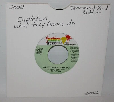 Capleton - What They Gonna Do - 2002 Jamaica Vinyl 7" Single - Diamond Rush - Image 1 of 3