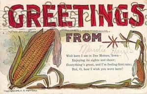 Postal IO: Saludos desde Iowa, O. E. Hasselman, publicada 1911, maíz - Imagen 1 de 2