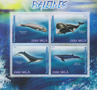 Baleine Madagascar Neuf 3312