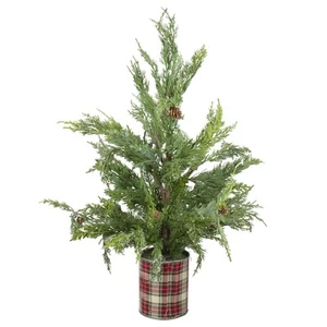 Northlight 24-Inch Iced Cedar Artificial Christmas Tree in Plaid Pot - Unlit - Imagen 1 de 5