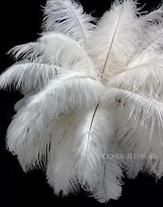 10 Pieces - 14-17" Off White Ostrich Drab Feathers Centerpiece Wedding Supplier - Picture 1 of 12