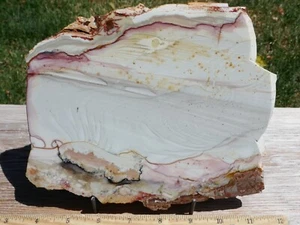 TCR LOSA PULIDA DE JASPE/ÁGATA/LAPIDARIA WILLOW CREEK 451 GRAMOS - Imagen 1 de 4