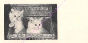 Mignonette Postal Antigua Gatitos n4 - Bild 1 von 2