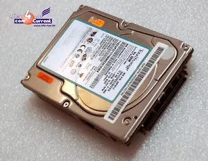 80-Pol 72 GB 73GB SCSI 80-Pin Hard Drive HDD IBM 24P3717 9V3006-038 80-Pin N803 - Picture 1 of 1