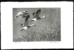 RW22 1955 BUND ENTE BRIEFMARKENDRUCK 1. Auflage durchscheinendes Papier Reg 1800 $ - Bild 1 von 1