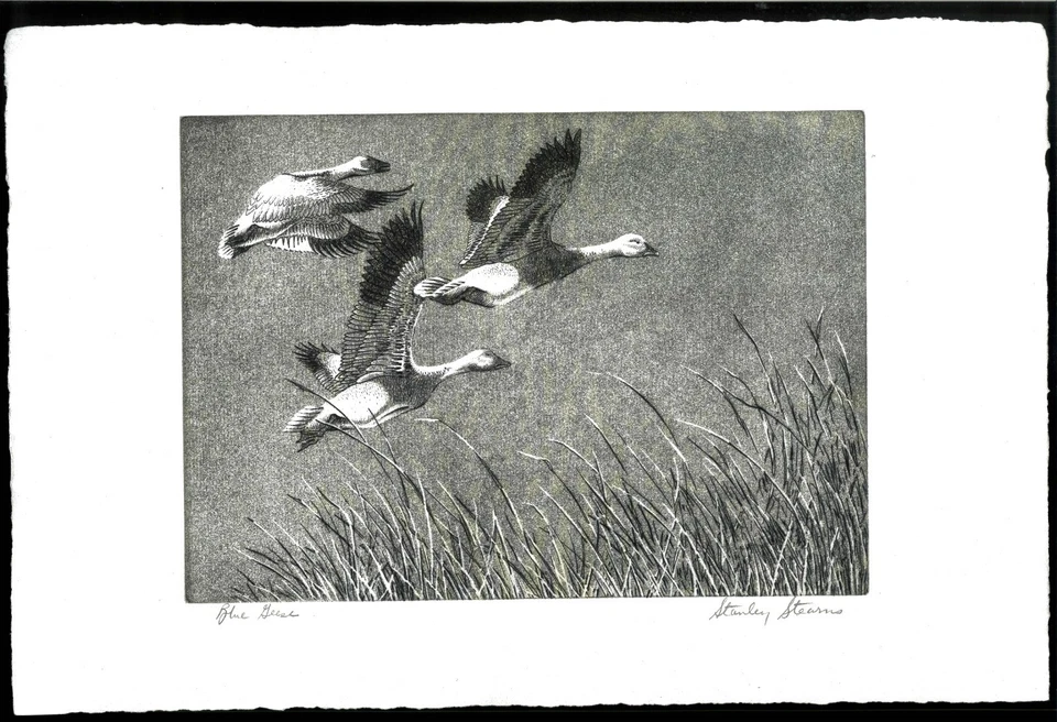 RW22 1955 FEDERAL DUCK STAMP PRINT  1st Edition Translucent paper Reg $1800 - Image 1 of 1