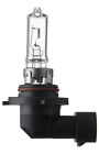 HB3 12V 60W Glühlampe Halogen Glühbirne Autolampe P20d Exalux 