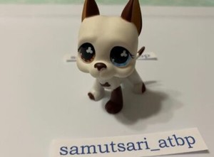 EUC LPS White Brown Tan Great Dane with Clover Eyes #577 Dog Puppy  + 1 Random 