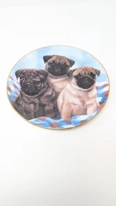 Simon Mendez "Three Little Pugs" Mops Sammlung Sammelteller Danbury neuwertig - Bild 1 von 2