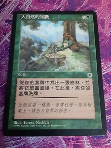 Nature's Lore - Traditionell (T) Chinesisch - Portal - Magie - MTG VHTF! - Bild 1 von 10