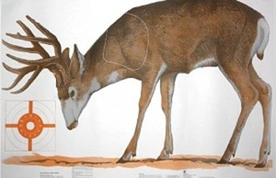 NATIONAL TARGET NRA Mule Deer Life-Size Game Target (HF 07900), 60" x 42", (folded)