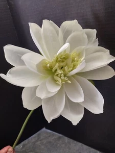 Künstliche weiße Natural Feel große Lotusblütenstiele - Bild 1 von 9