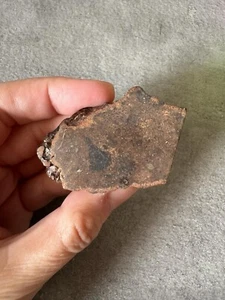 Meteorite chondrite LL5 NWA 15736 End 49.9g - Imagen 1 de 3