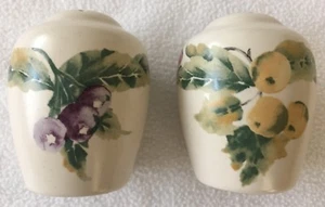 Juego de agitadores de sal y pimienta Pfaltzgraff Jamberry ~NUEVO~ - Imagen 1 de 4