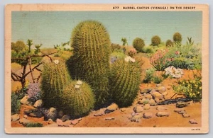 Barrel Cactus Visnaga on the Desert Unposted Linen Postcard (H37) - Picture 1 of 2