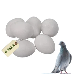 6x Legeeier Kunsteier Nesteier Gipseier Tauben Bruteier Eier 15gr 40x30 mm - Afbeelding 1 van 6