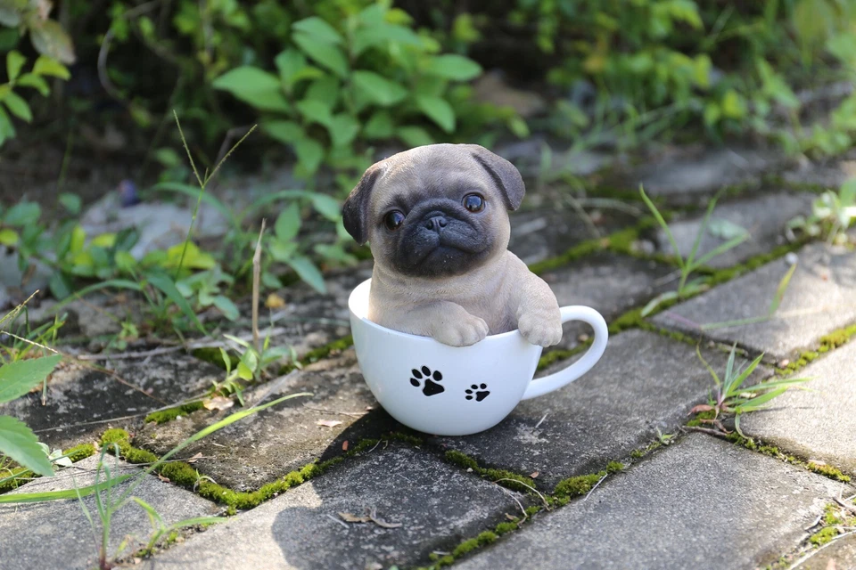 Taza de té pug cachorro estatua jardín patio cama de flores decoración hogar mesa exhibición Foto 1 de 1