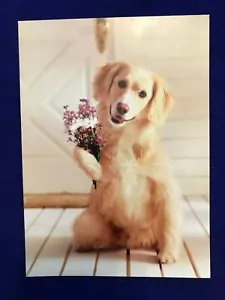 Tarjeta de felicitación romántica Avanti Greetings "I ruv you..." (A33) NUEVA - Imagen 1 de 3