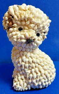 Inusual Cachorro Perro Mascota Estatuilla de Las Bahamas Pequeñas Conchas Marinas 5" Bichón Frisé - Imagen 1 de 8