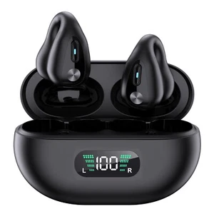 YYK-Q80 TSW Bluetooth Digital 5.3 wireless headphones painless ear hook - Picture 1 of 12