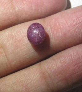 Natural Star Ruby Six Rays Cabochon Oval 5.70 ct Loose Gemstone  G 7642 - Picture 1 of 6