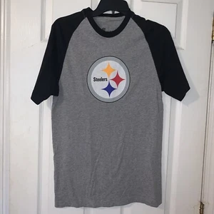 Nike Pittsburgh Steelers Mens T-Shirt NFL Black Gray Team Logo Apparel Small - Picture 1 of 3