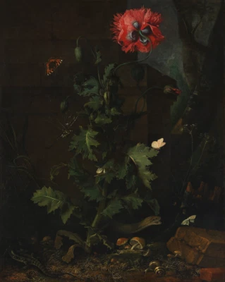 Still Life with Poppy and Reptiles | Otto Marseus van Schrieck | 1670 Art Print - Image 1 of 4