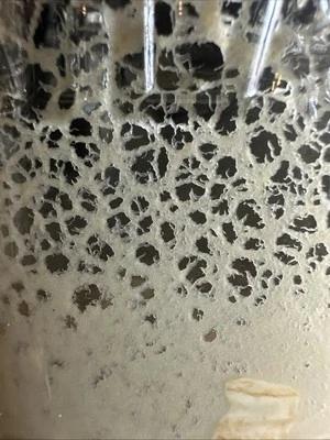 Tarro de vidrio Microworms Starter 24 oz Foto 1 de 2