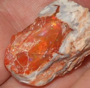 Natürlicher grober mexikanischer Feueropal Präparat 56,60ct aus Jalisco Mexiko 26x20mm - Bild 1 von 17