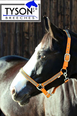 Halfter Glitzer ~ Strass Nylonhalfter Minishetty Shetty P VB WB EXF Orange NEU - Bild 1 von 4