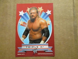 2007 Topps WWE Triple H Magnet - Picture 1 of 1