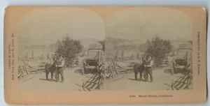 Tarjeta de visión estéreo de California James M. Davis 1895 minero con monte burro - Imagen 1 de 2