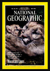 National Geographic July 1992 Photographic Chronicle of Mountain Lion Chesapeake