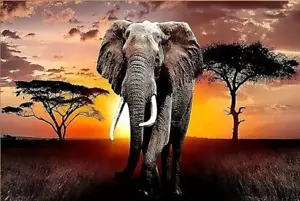 Grande Elefante dipinto a mano arte su tela - paesaggio moderno dipinto ad olio 60x40 cm - Foto 1 di 8