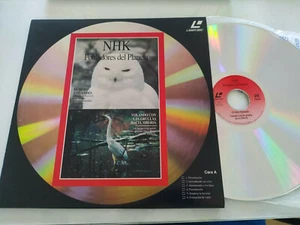 NHK Habitants Du Planète Hibou Grue Rhinocéros Sibérie - LASERDISC LD - Afbeelding 1 van 4