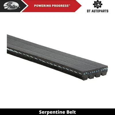 Portões de bomba de água correia serpentina 1985 para 1984-1989 Ford LN9000 14L L6 DIESEL - Imagem 1 de 4