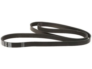 For 1996-1997 Chevrolet K2500 Suburban Multi Rib Belt Dayco 98581NXWD 5.7L V8 - Picture 1 of 2