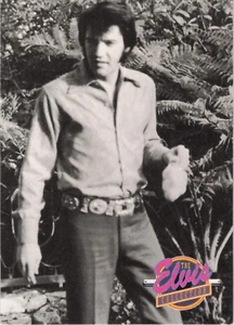 1992 Elvis Presley Collection #484 - Elvis relaxed wherever, whenever - Picture 1 of 2