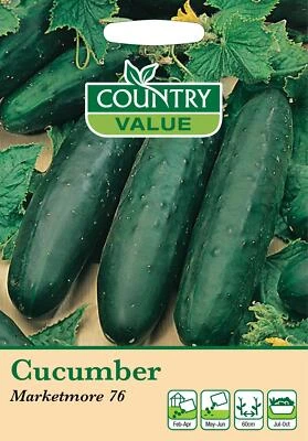 Cucumber Seeds Marketmore 76 - 20 Fresh Salad Vegetable Seeds UK Country Value - Image 1 of 2