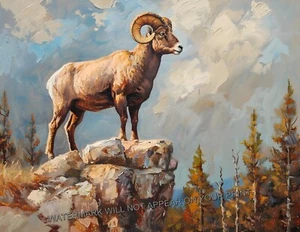 Bighorn Sheep Rocky Mountains Colorado Animal Art Giclée Print 8.5x11 - Picture 1 of 2