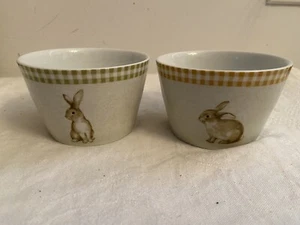 Vintage Lot of 2 BUNNYLAND 222 FIFTH Small Bowls 1 Brown 1 Green Gingham Rim - Picture 1 of 5
