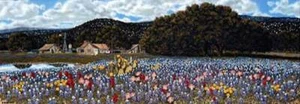 Texas Sampler Print - George Boutwell - Picture 1 of 1