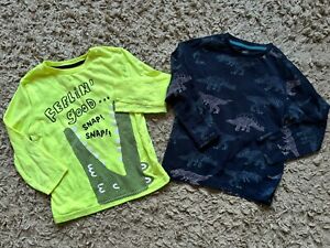 2x Long Sleeve Tops T Shirts Size 3-4 Years Boys Dinosaurs Crocodile M&S F&F
