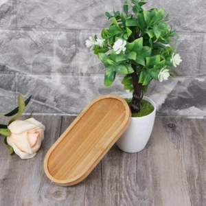 Bamboo Wood Saucer Plant Oval Shape Tray Mini Plant Flower Pot Stand Tray - Picture 1 of 8