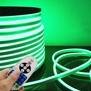 LED NEON Light, AC 110-120V Flexible LED Neon Strip Lights, 120 LEDs/M, Dimma... - Picture 1 of 9