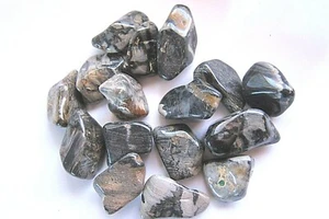 One Silverleaf Jasper 35-45mm Tumbled Stone Reiki Healing Crystal Shamans Magic  - Picture 1 of 5