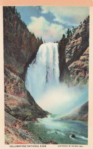 Yellowstone Nationalpark - Haynes Inc - Curt Teich Postkarte - Bild 1 von 2